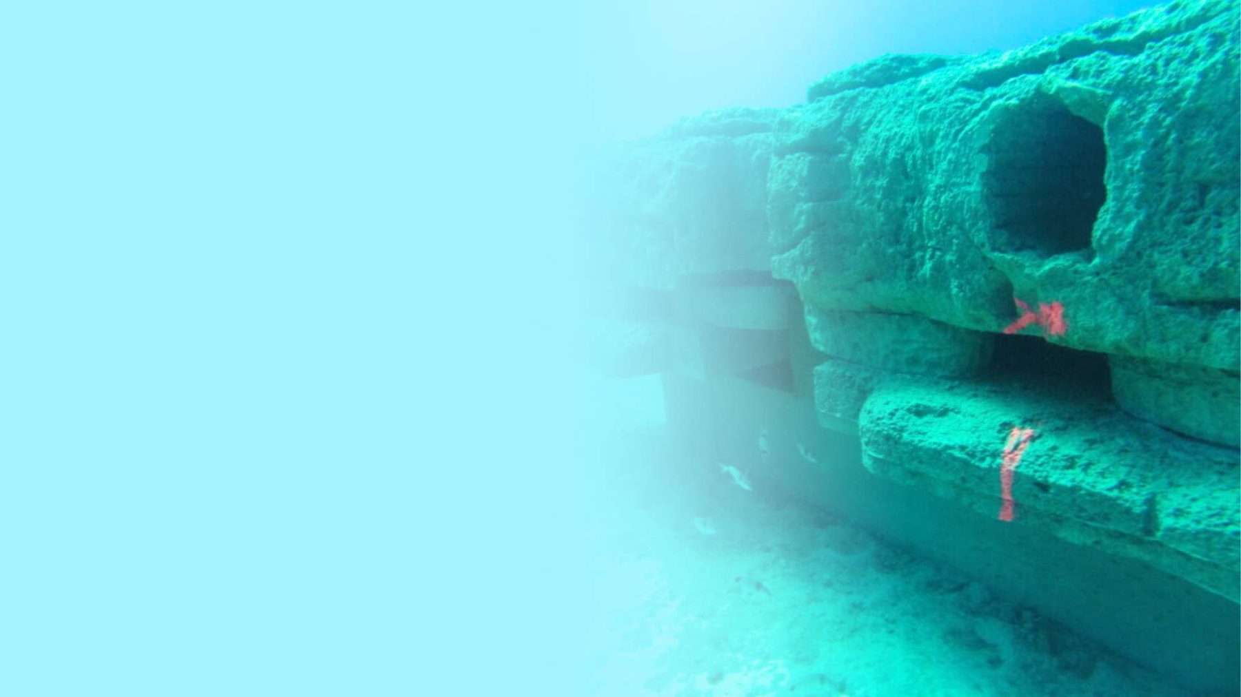 Eco-designed anchor structure colonised by marine life on the seabed
