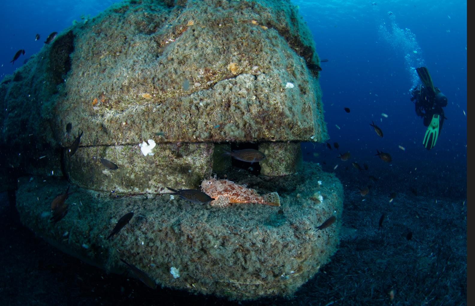 An eco-designed structure before immersion